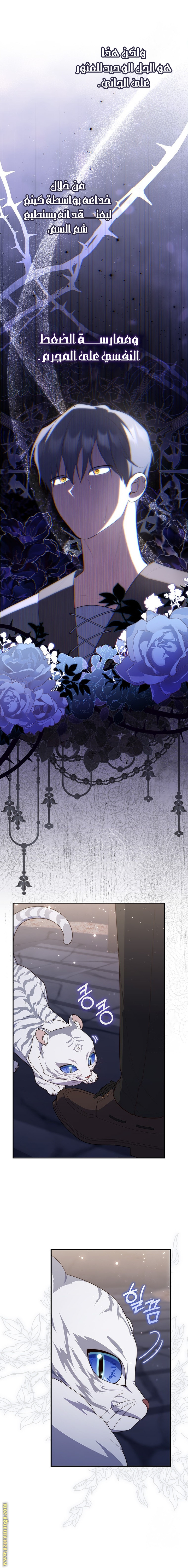 Read A fortune telling princess AR Manga Online