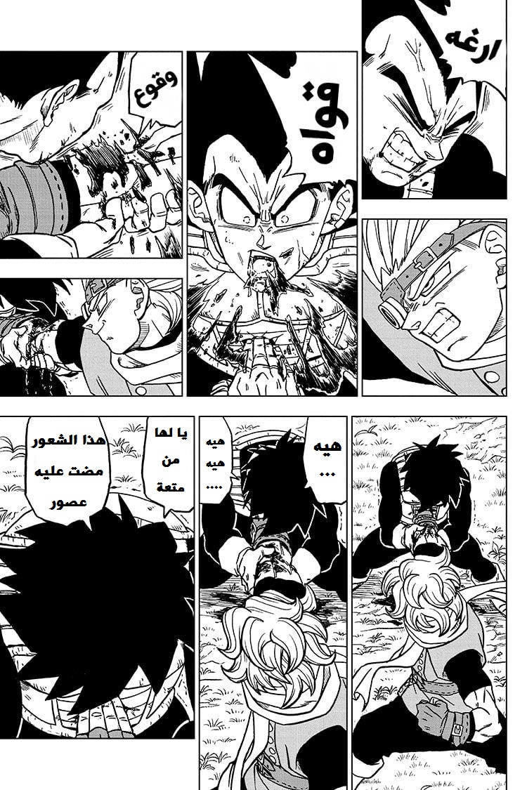 Read Dragon Ball Super AR Manga Online