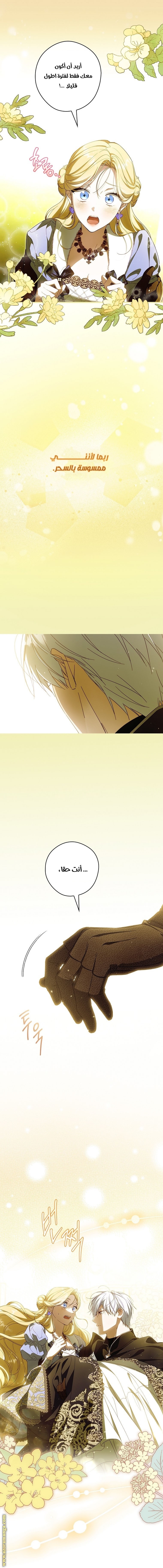 Read How to Get My Husband on My Side AR Manga Online