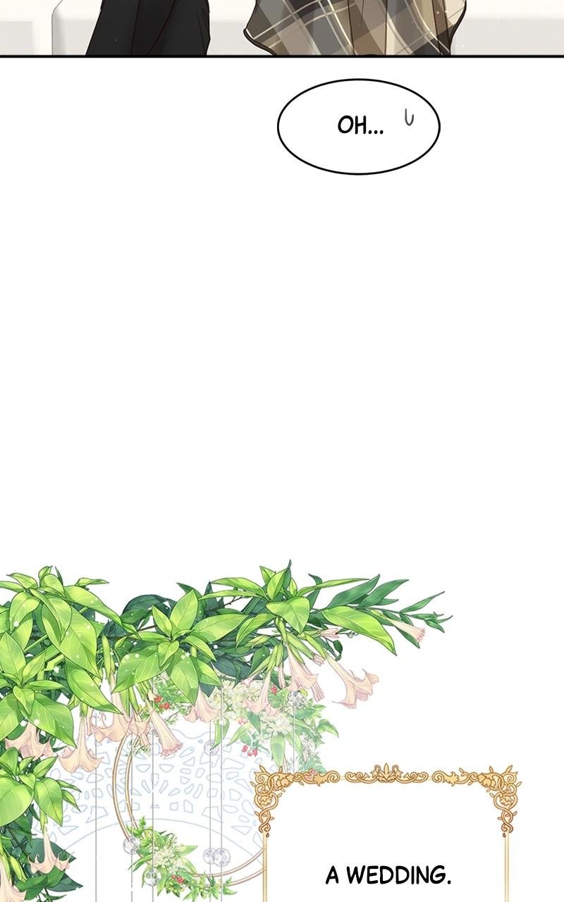 Read Daytime Star EN Manga Online