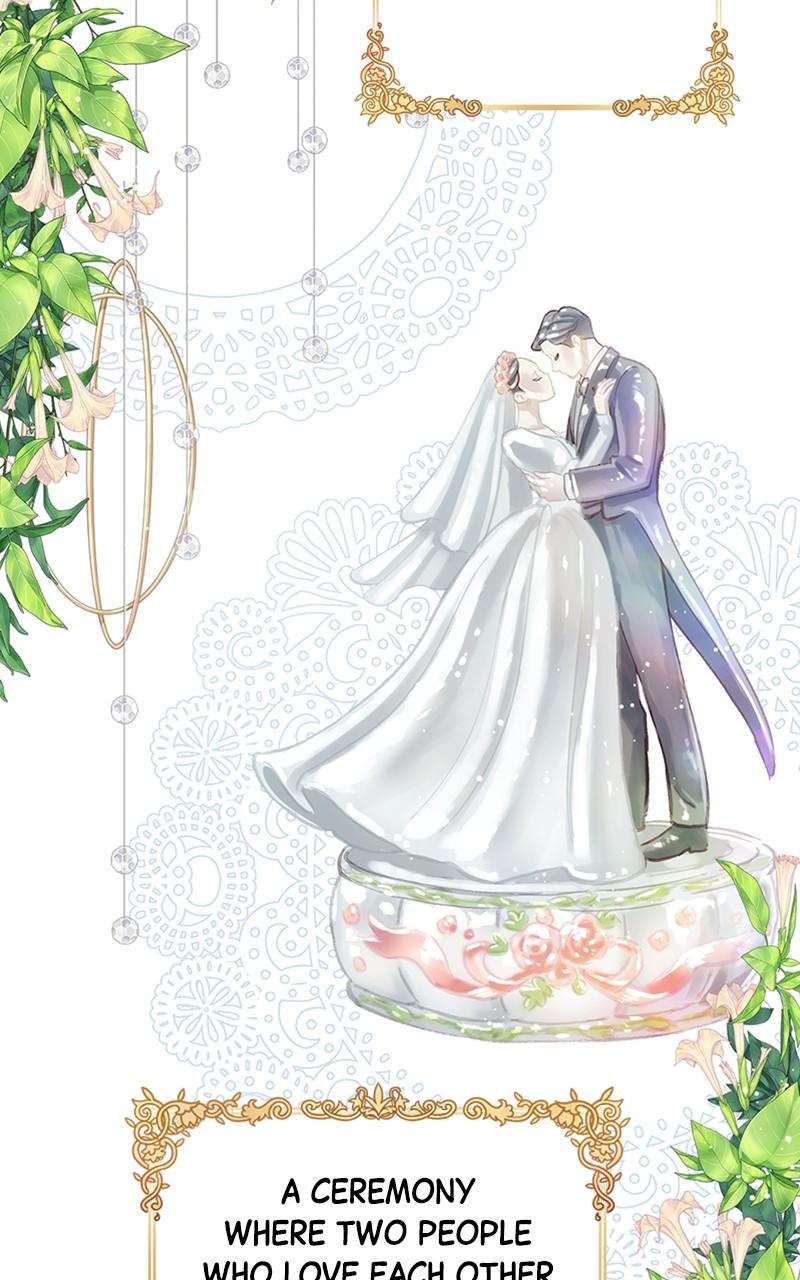 Read Daytime Star EN Manga Online