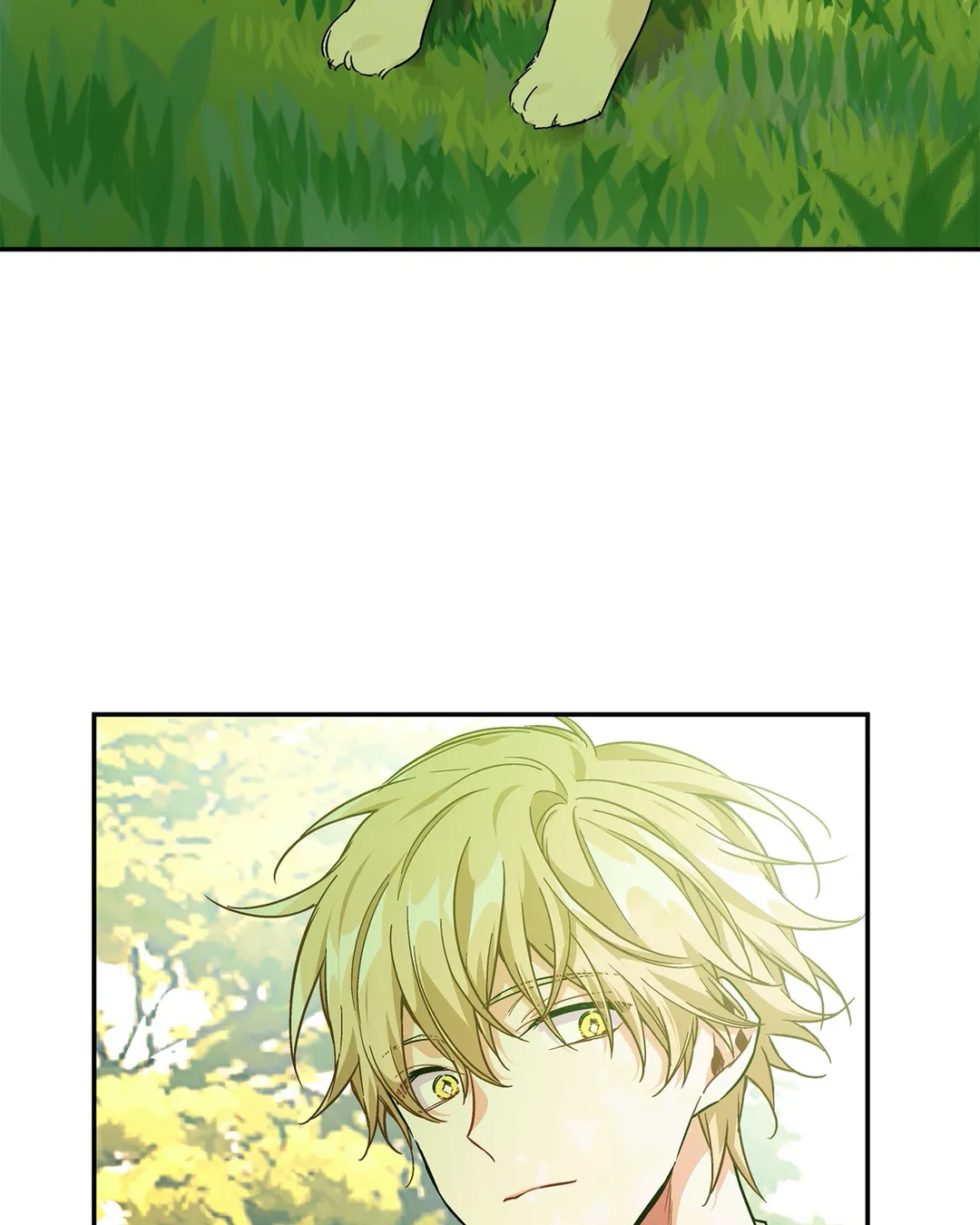 Read Doctor Elise EN Manga Online