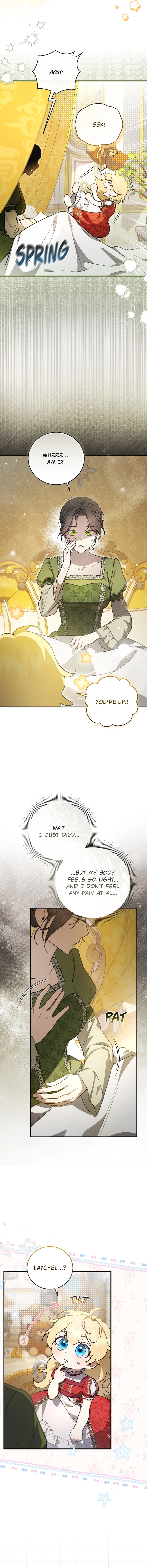 Read Once an Assassin Now a Royal Nanny EN Manga Online