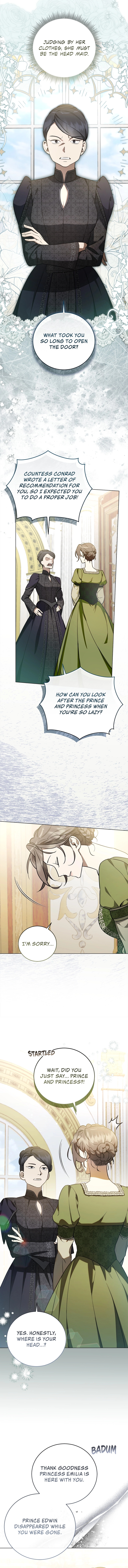 Read Once an Assassin Now a Royal Nanny EN Manga Online