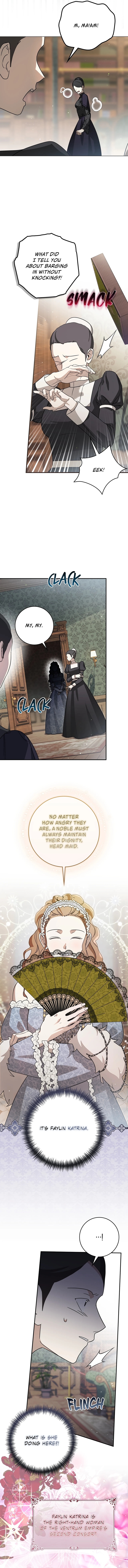 Read Once an Assassin Now a Royal Nanny EN Manga Online