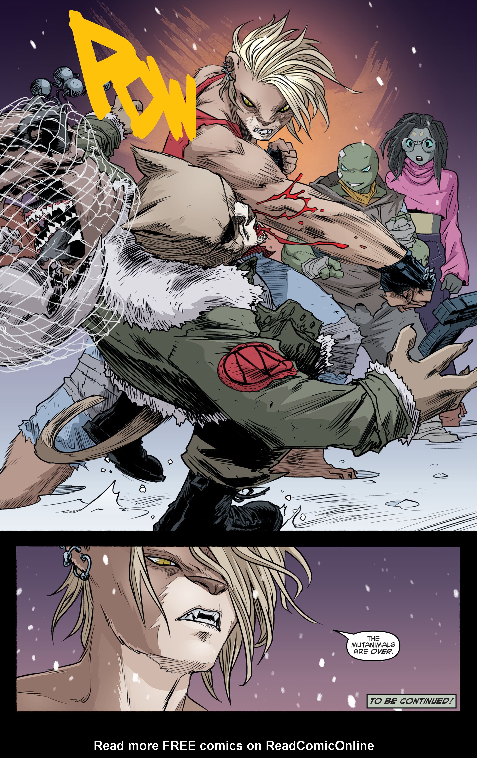 Read Teenage Mutant Ninja Turtles (2011) EN Manga Online