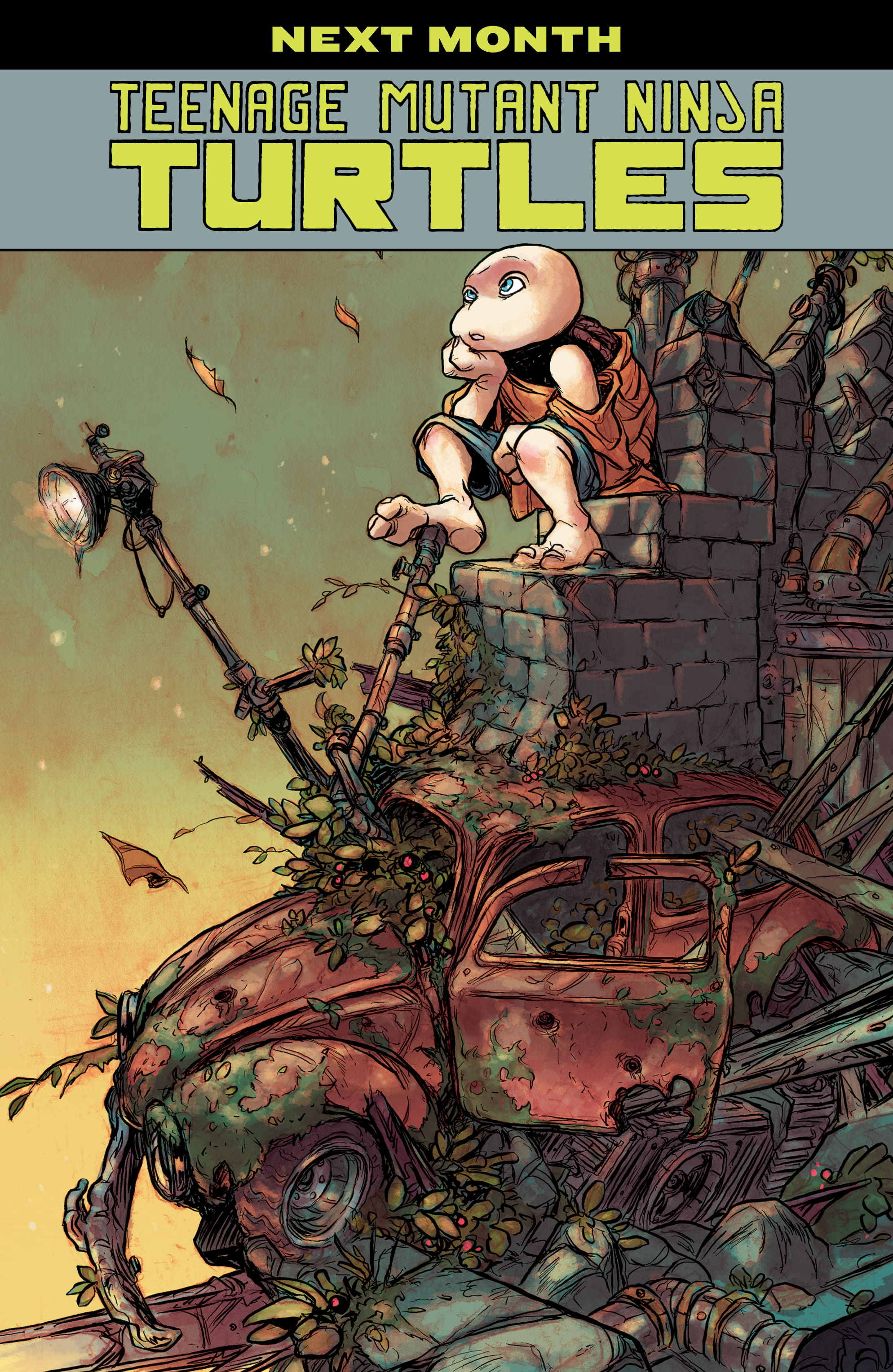 Read Teenage Mutant Ninja Turtles (2011) EN Manga Online