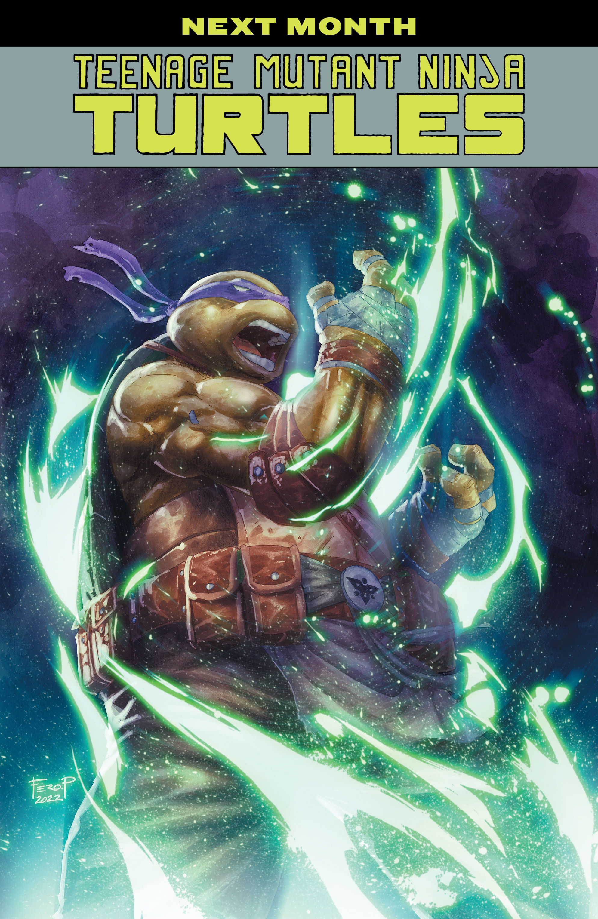 Read Teenage Mutant Ninja Turtles (2011) EN Manga Online