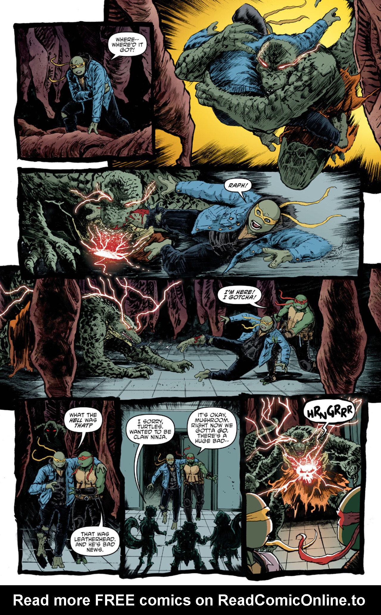 Read Teenage Mutant Ninja Turtles (2011) EN Manga Online