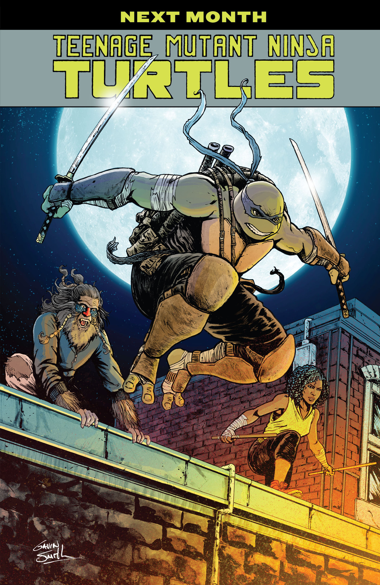 Read Teenage Mutant Ninja Turtles (2011) EN Manga Online