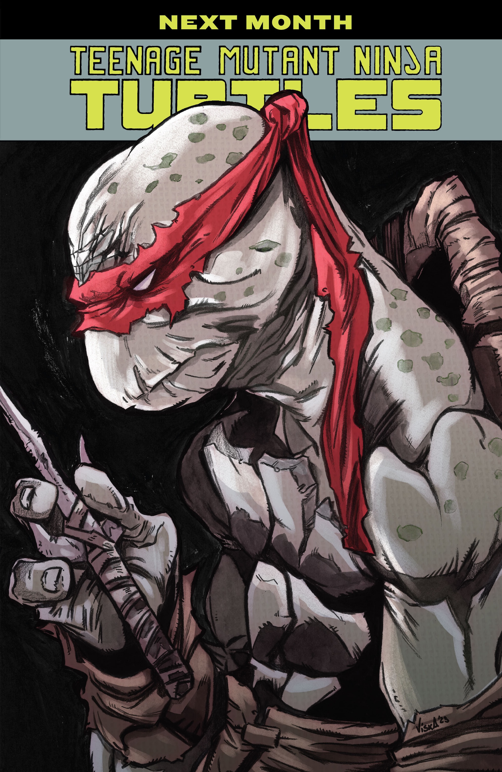 Read Teenage Mutant Ninja Turtles (2011) EN Manga Online