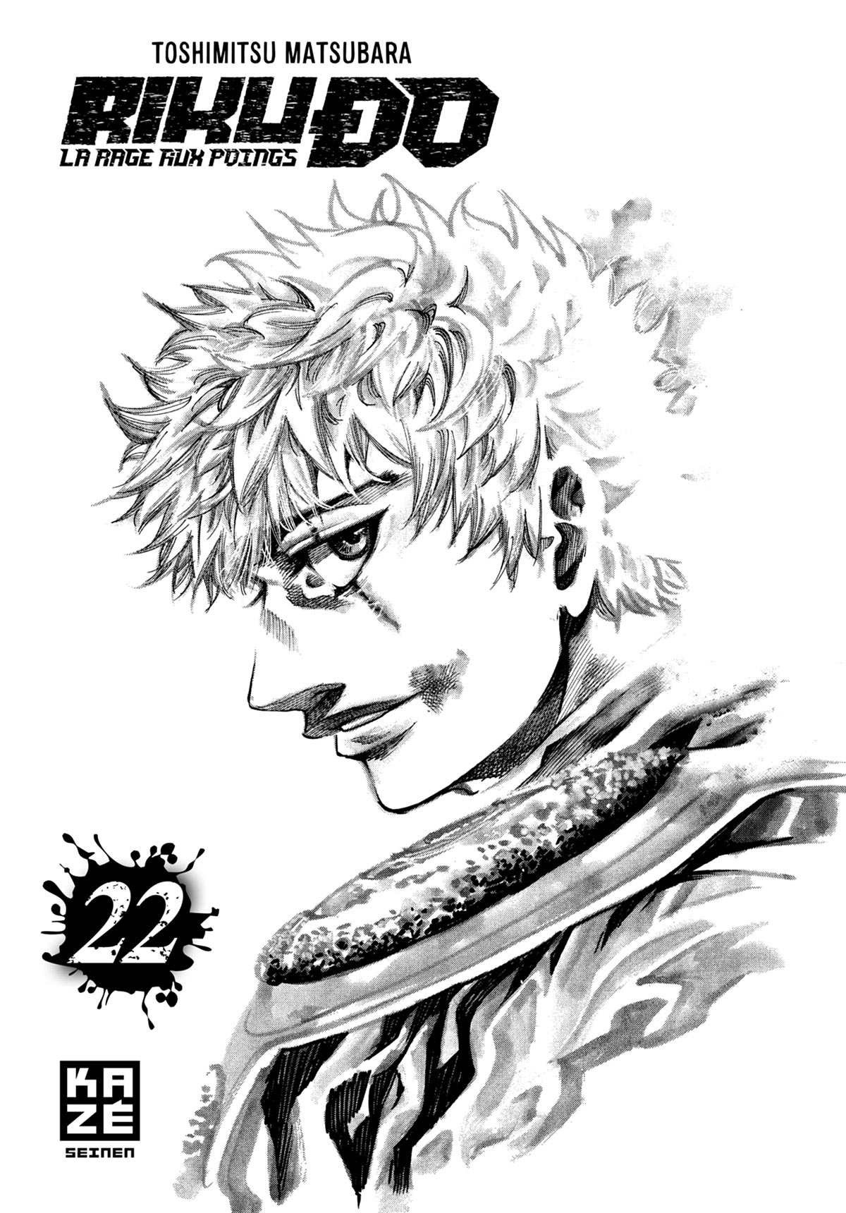 Read Riku-do FR Manga Online