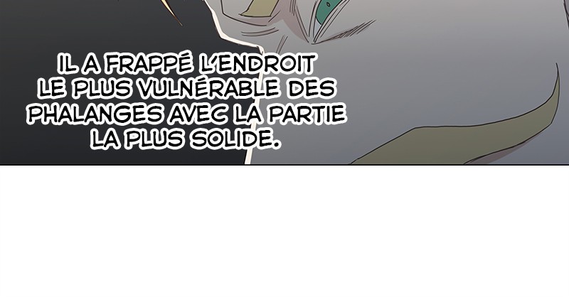 Read The Boxer FR Manga Online