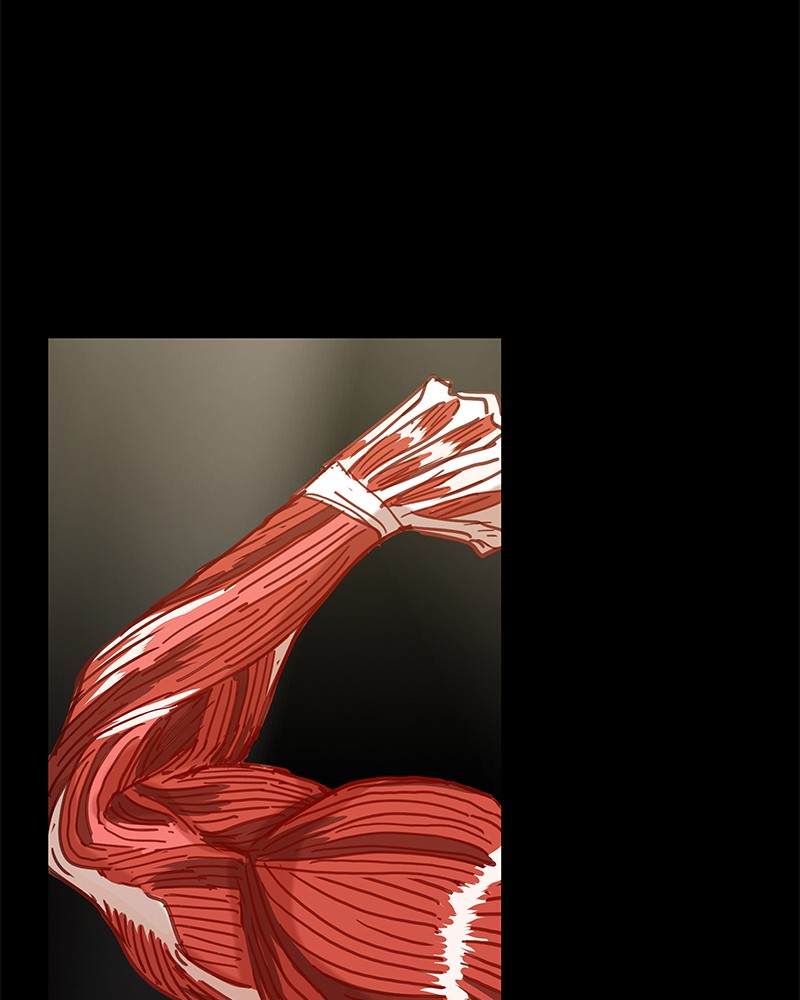 Read The Boxer FR Manga Online