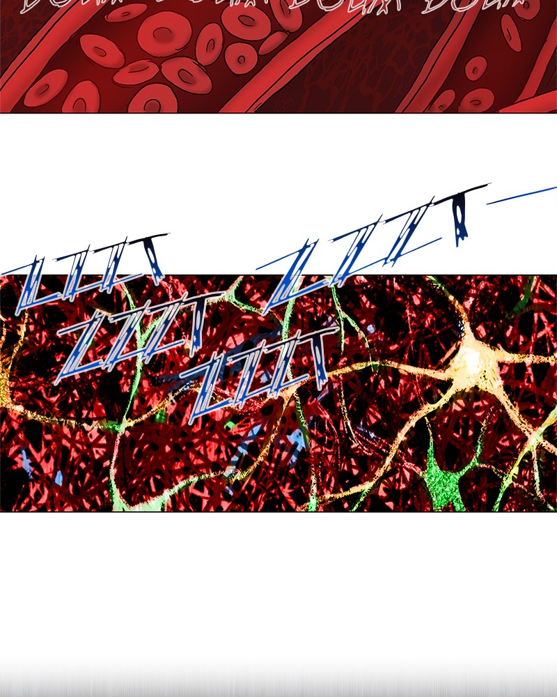 Read The Boxer FR Manga Online