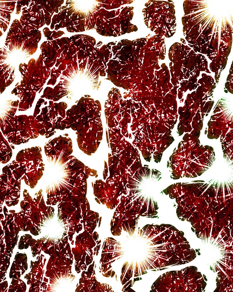 Read The Boxer FR Manga Online