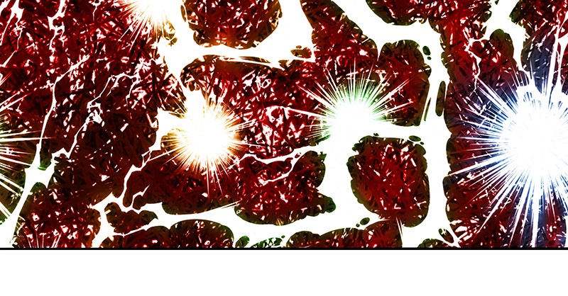 Read The Boxer FR Manga Online