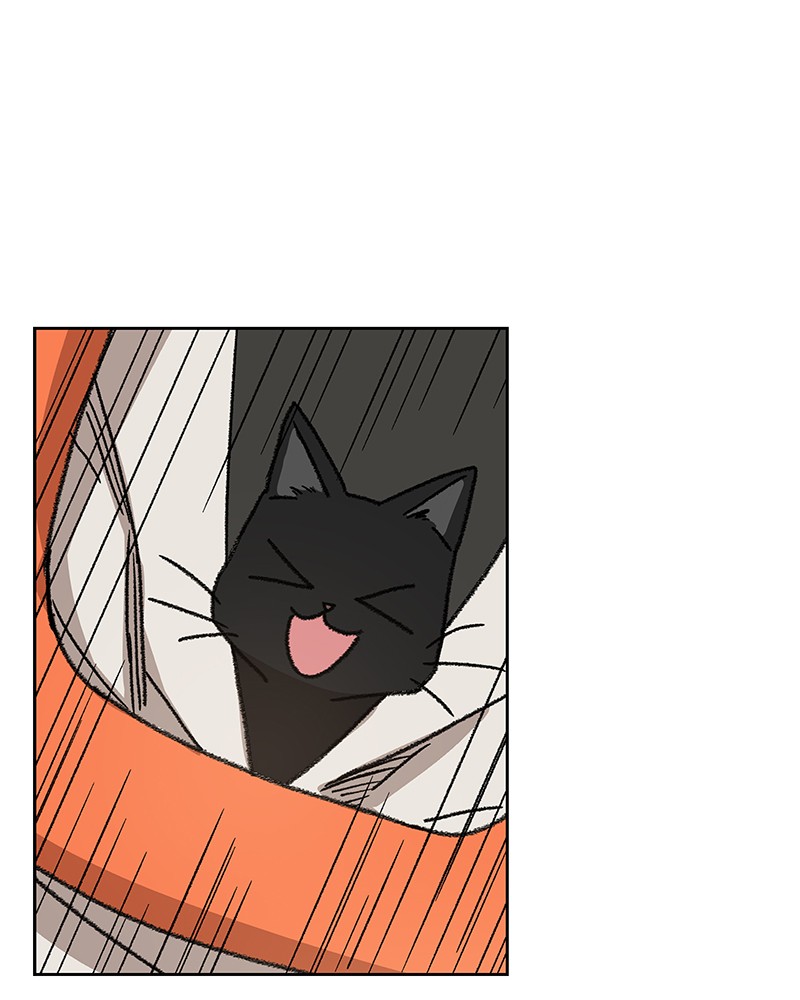 Read The Boxer FR Manga Online