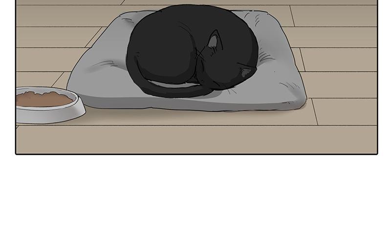 Read The Boxer FR Manga Online