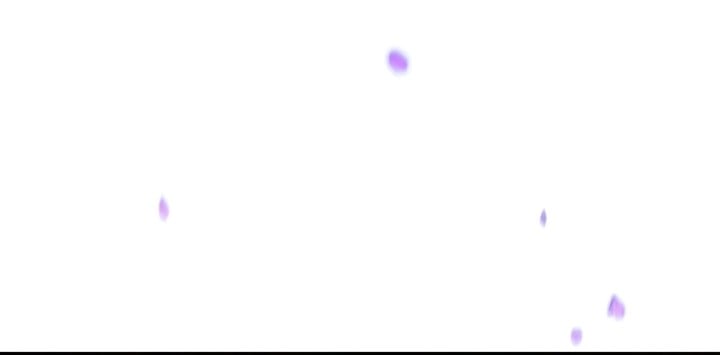 Read The Player That Can’t Level Up FR Manga Online