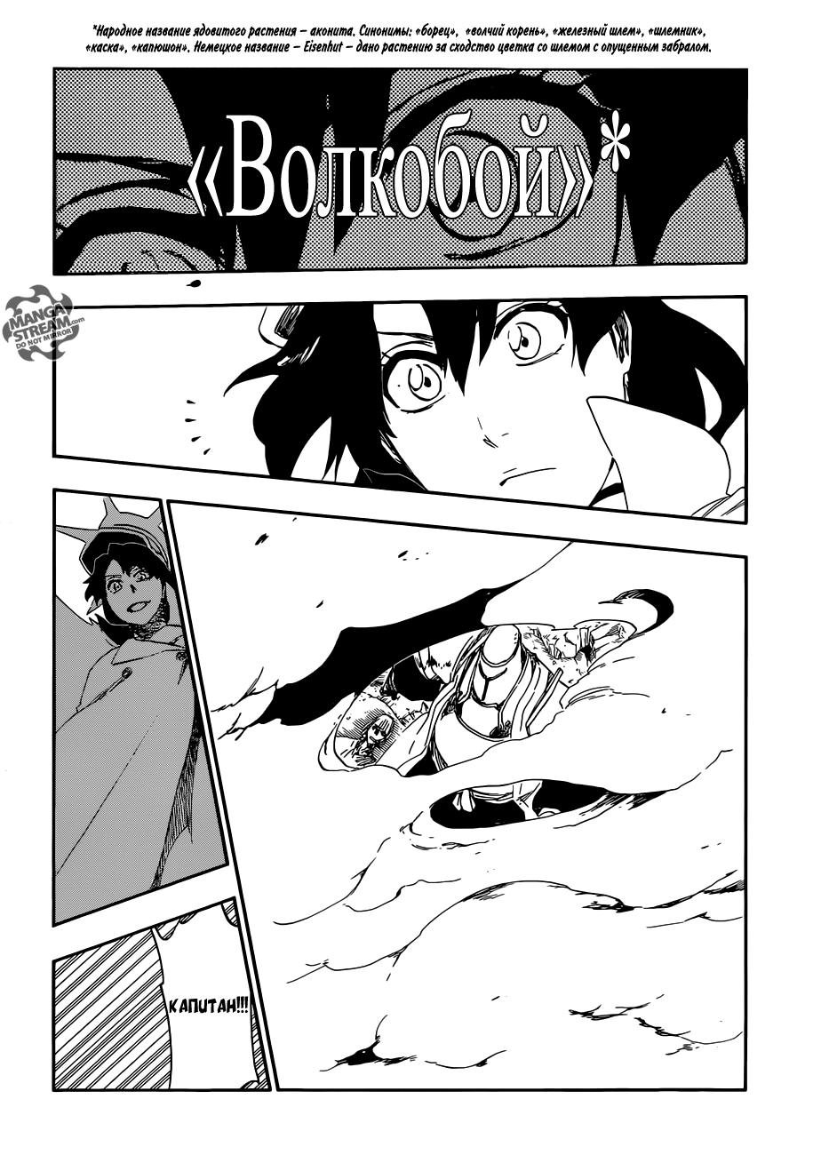 Read Bleach RU Manga Online