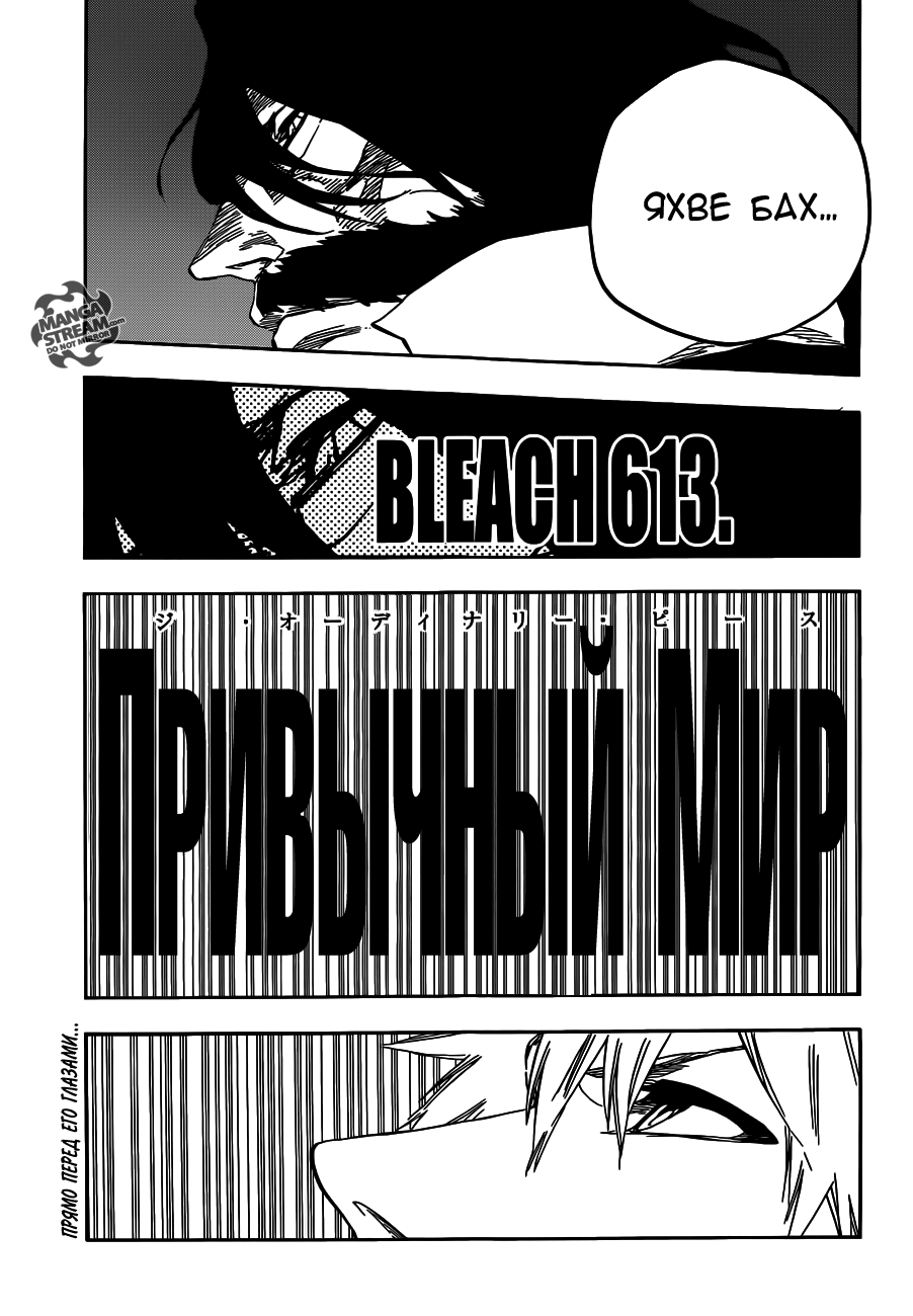 Read Bleach RU Manga Online