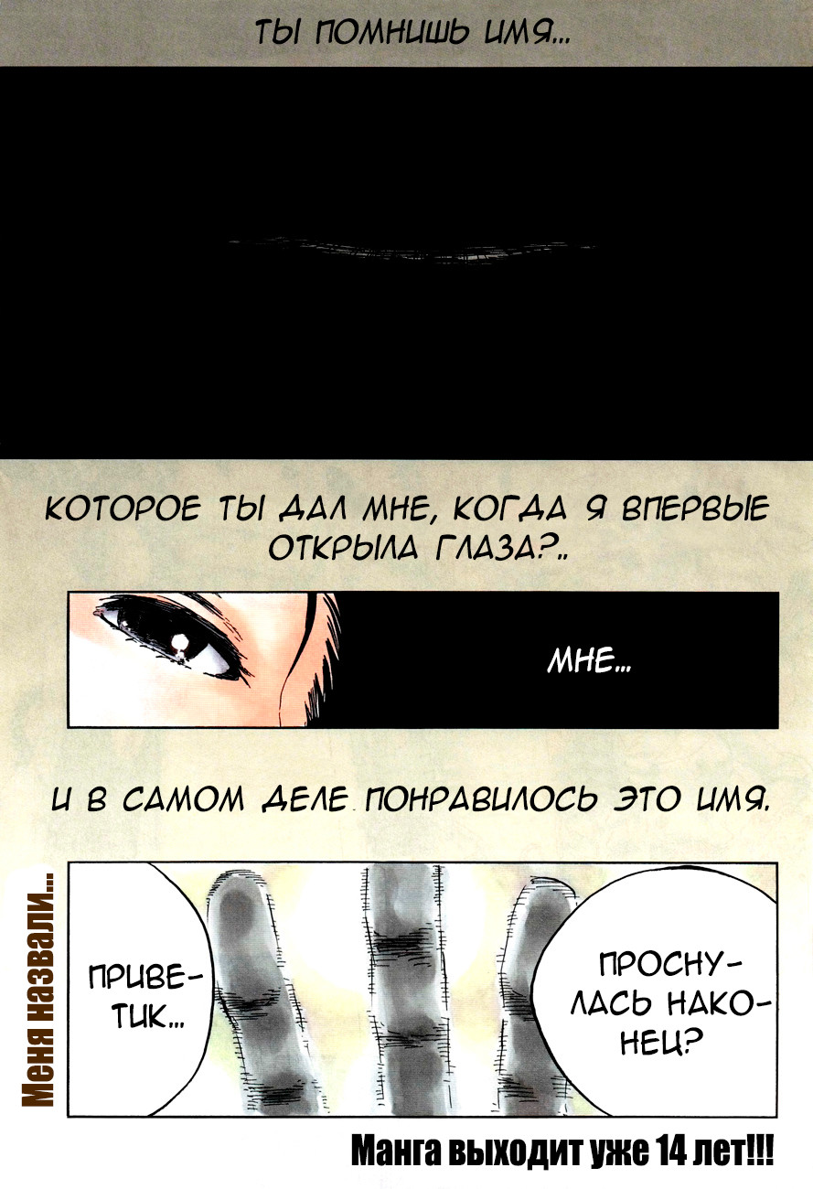 Read Bleach RU Manga Online