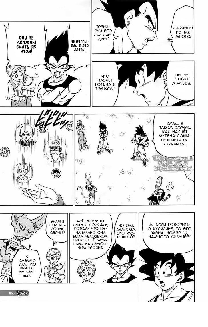 Read Dragon Ball Super RU Manga Online