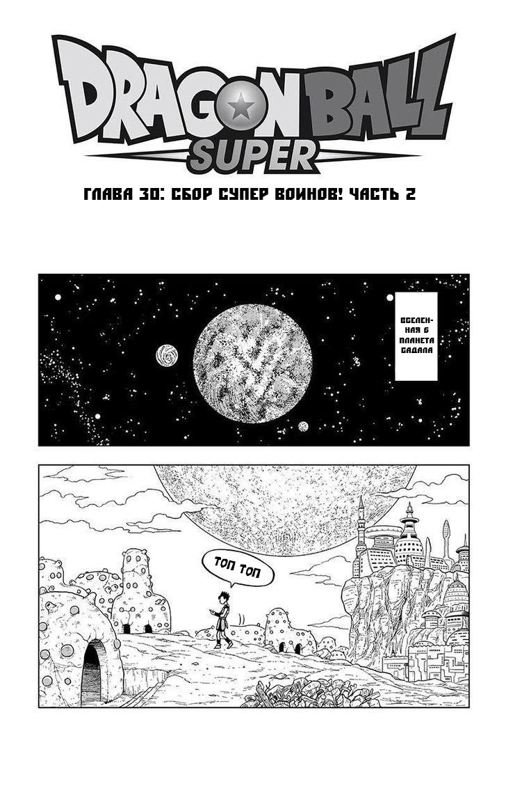 Read Dragon Ball Super RU Manga Online