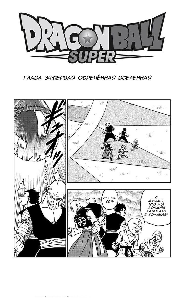 Read Dragon Ball Super RU Manga Online