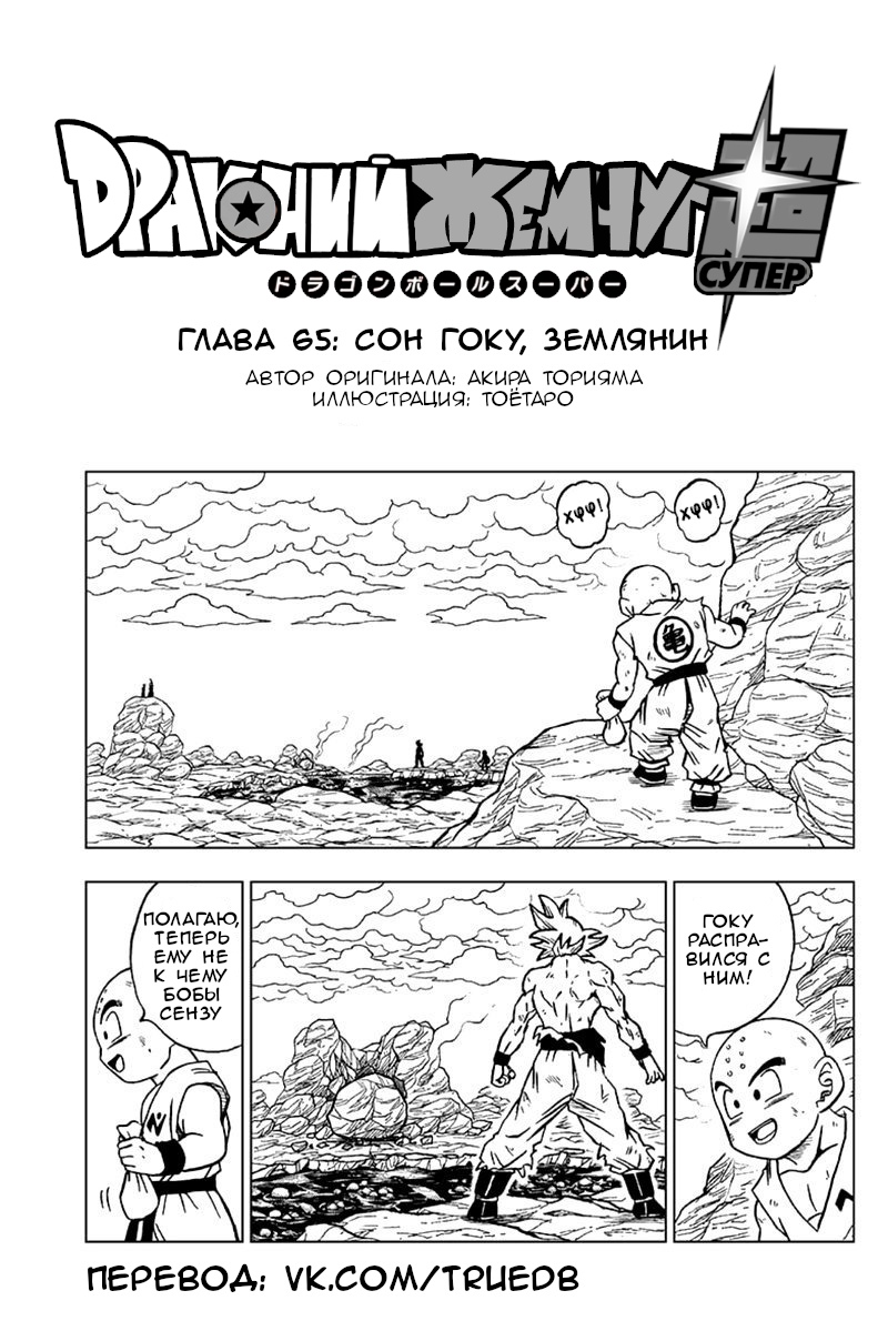 Read Dragon Ball Super RU Manga Online