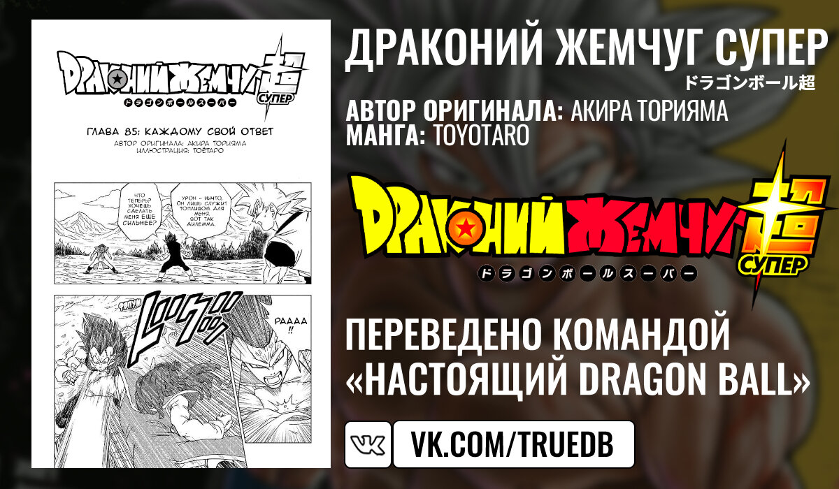 Read Dragon Ball Super RU Manga Online