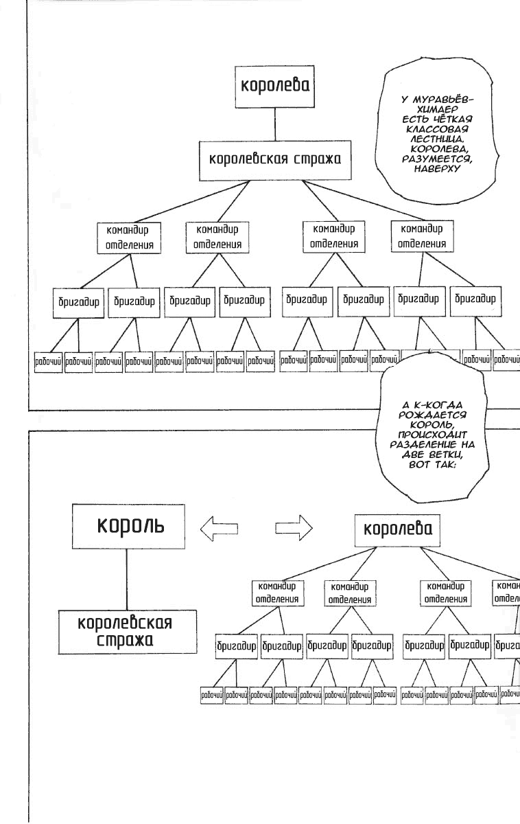 Read Hunter x Hunter RU Manga Online