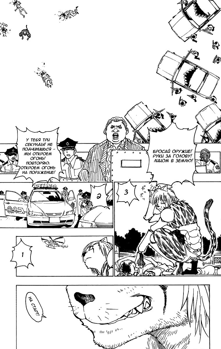 Read Hunter x Hunter RU Manga Online