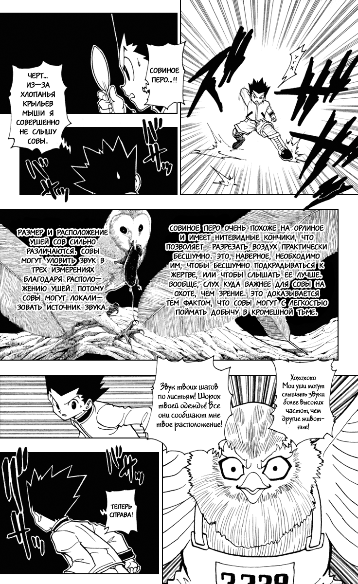 Read Hunter x Hunter RU Manga Online