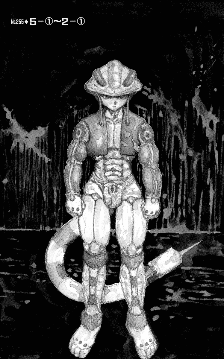 Read Hunter x Hunter RU Manga Online