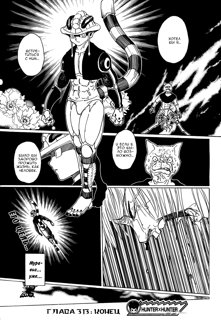 Read Hunter x Hunter RU Manga Online