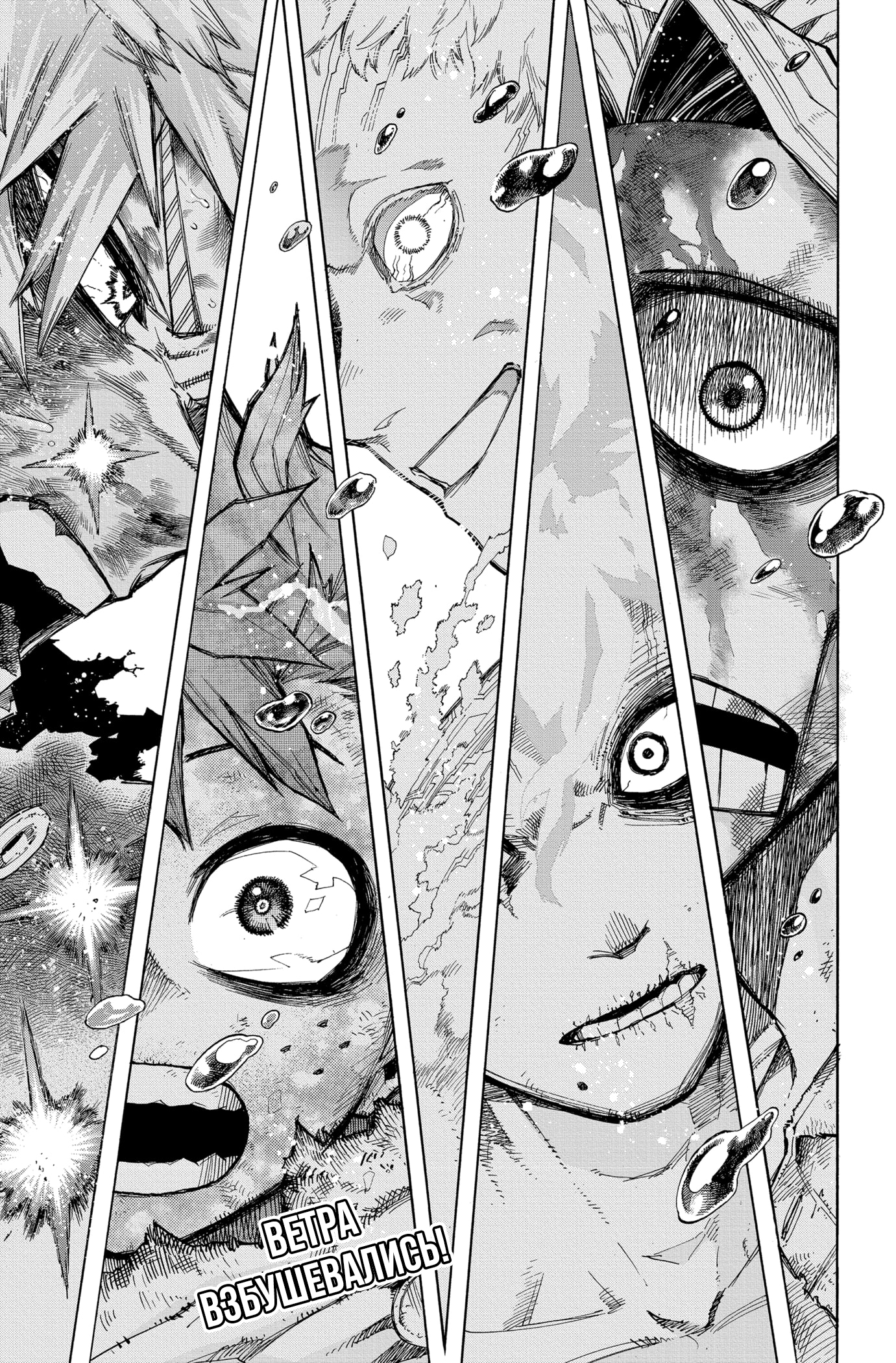 Read My Hero Academia RU Manga Online