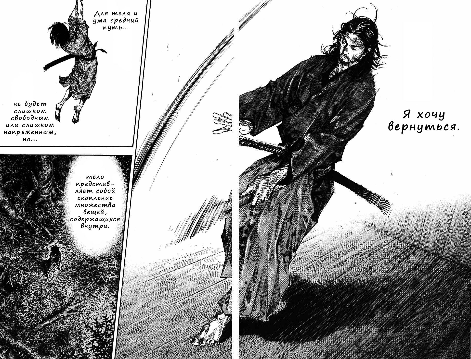 Read Vagabond RU Manga Online