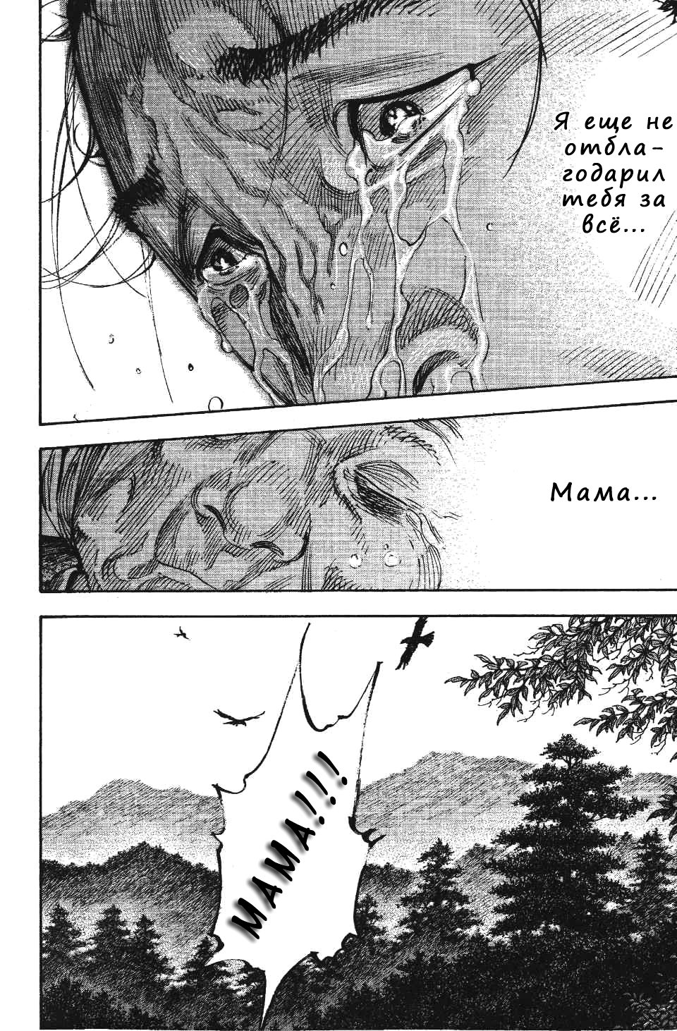 Read Vagabond RU Manga Online