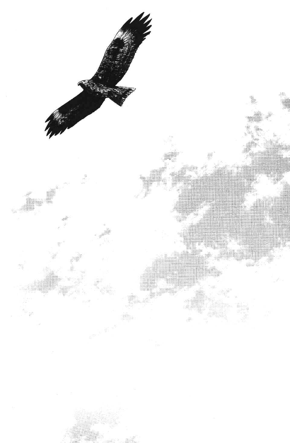 Read Vagabond RU Manga Online