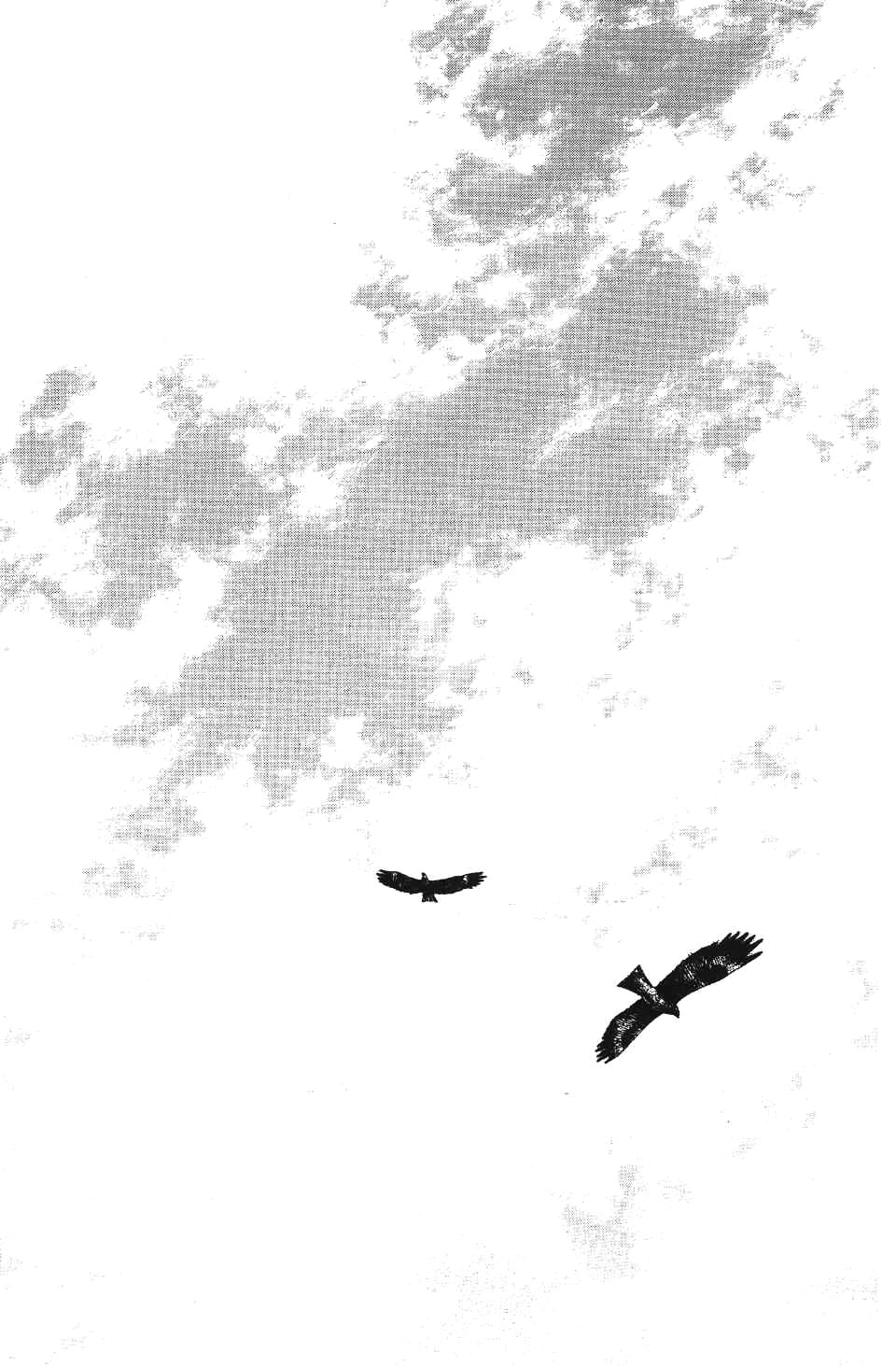 Read Vagabond RU Manga Online