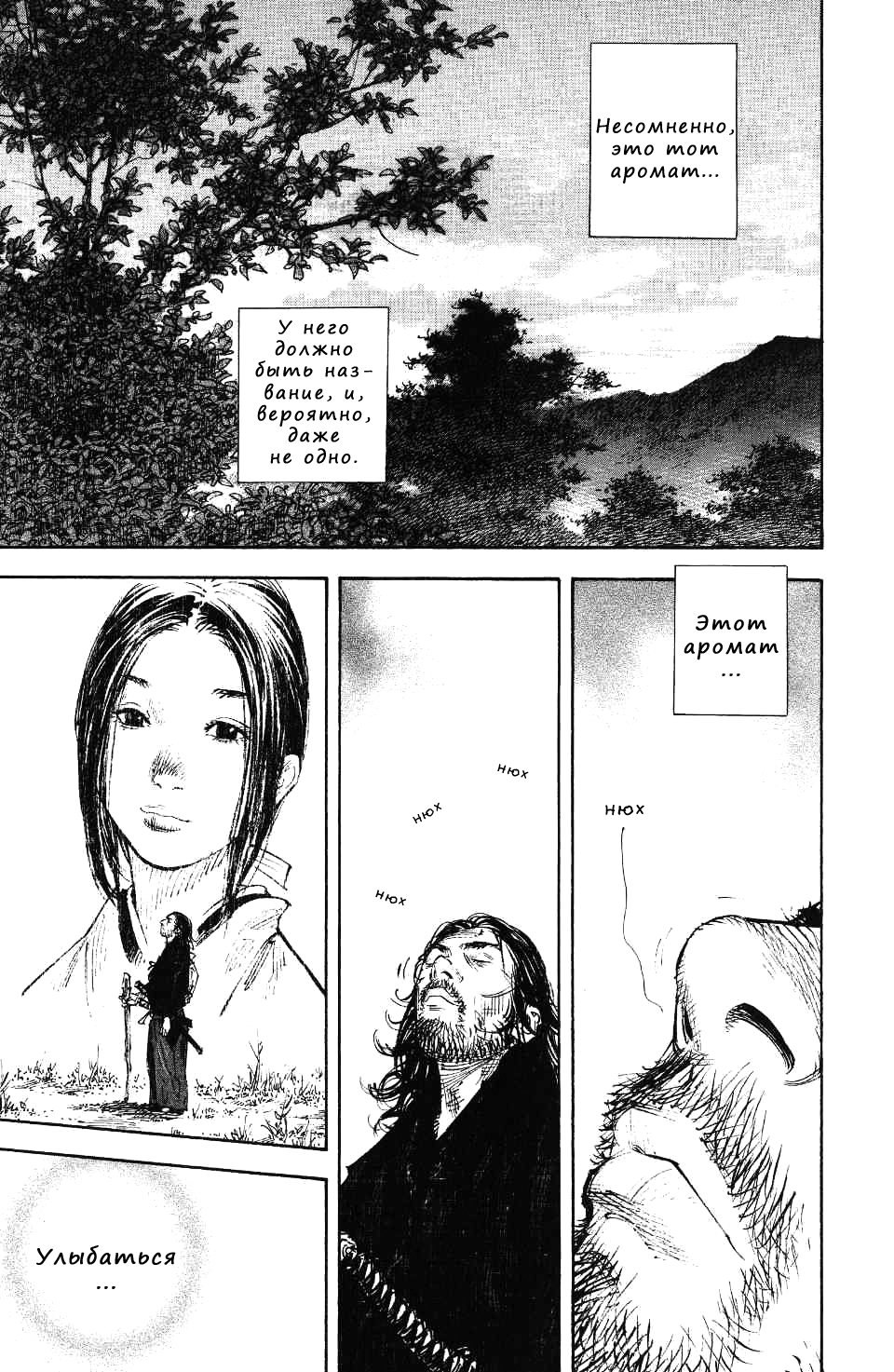 Read Vagabond RU Manga Online