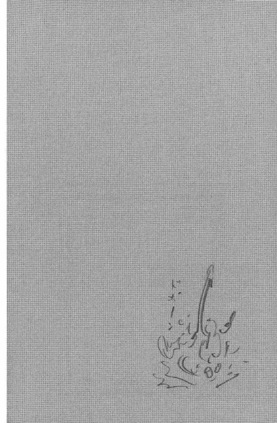 Read Vagabond RU Manga Online