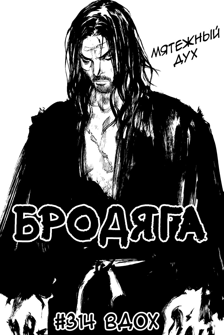 Read Vagabond RU Manga Online